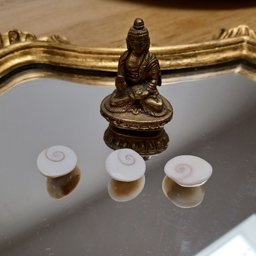 Shiva oog 