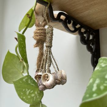Hanger Schelp donkerbruin 