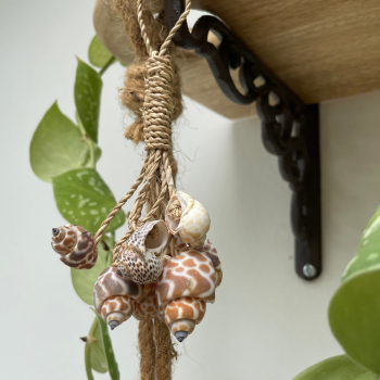 Hanger Schelp lichtbruin 