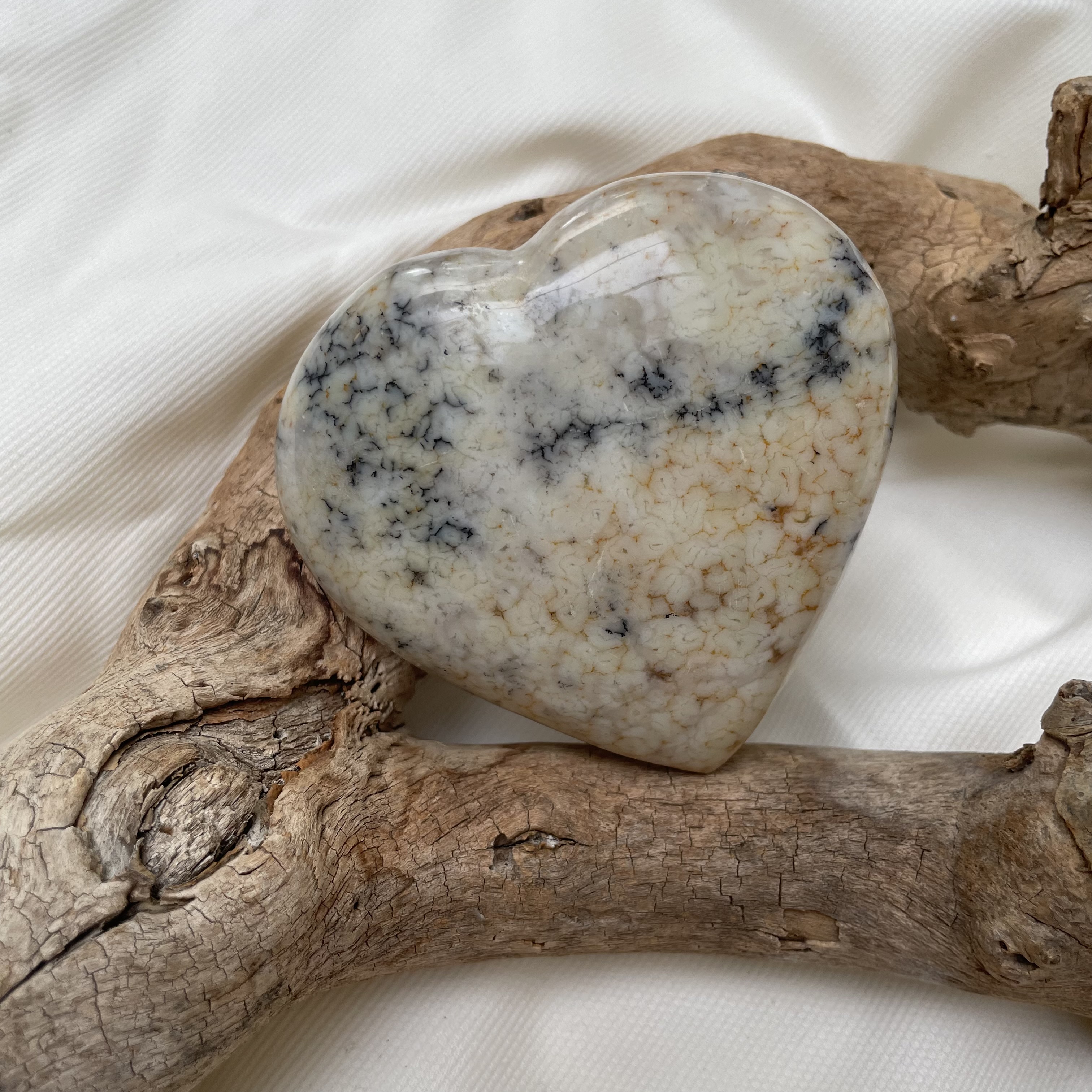 Dendriet hart