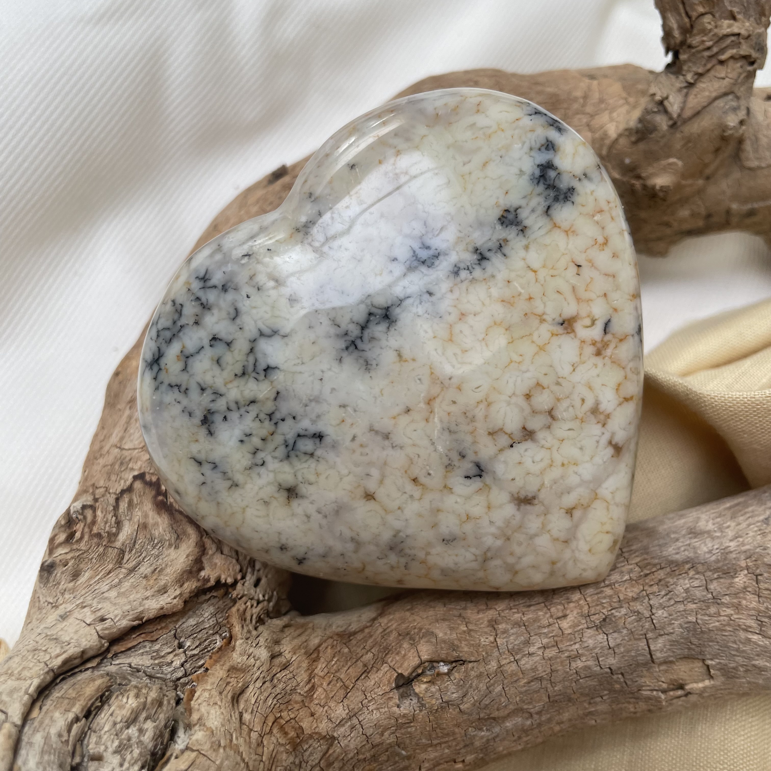 Dendriet hart