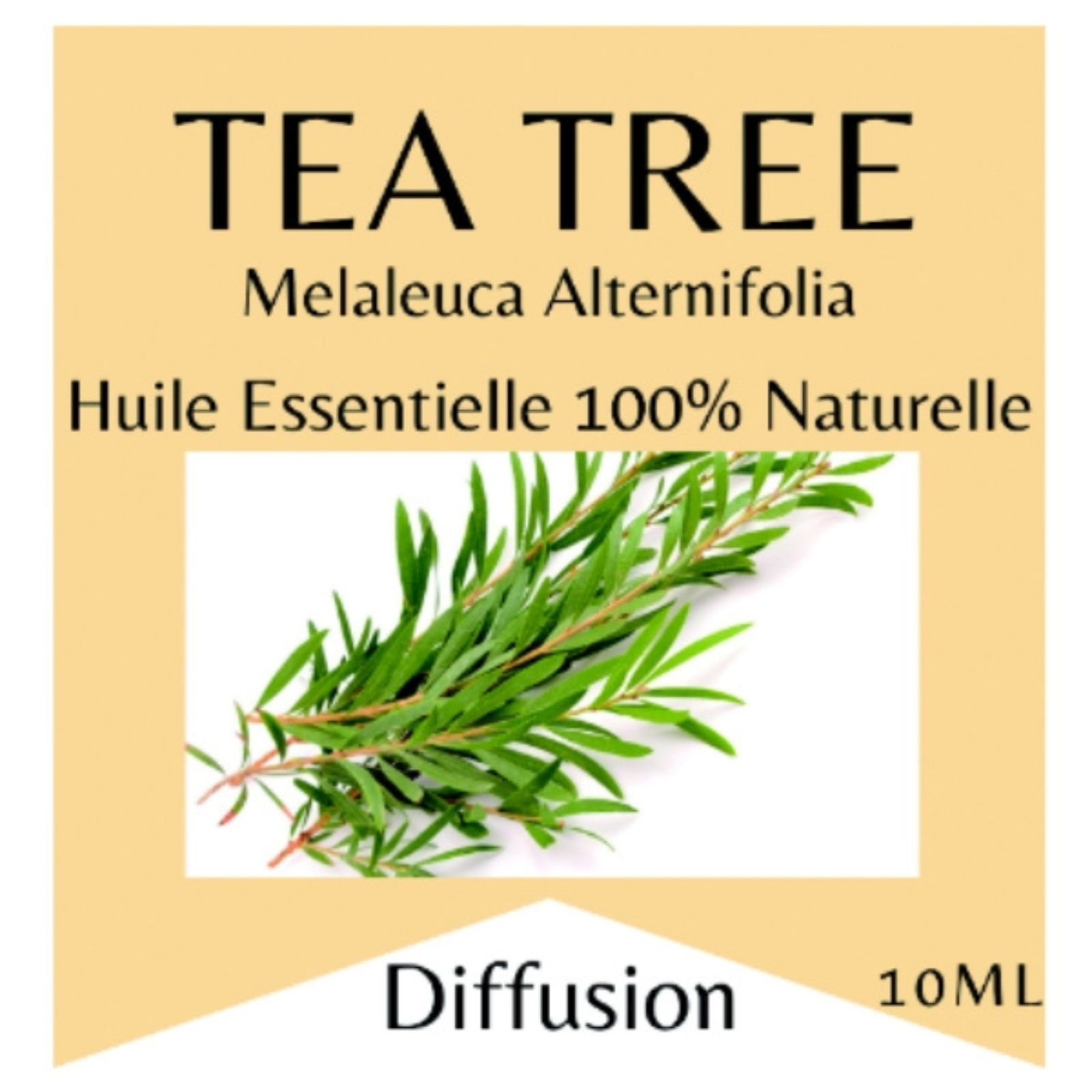 Etherische olie Tea Tree